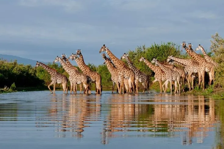 3 Days Tanzania Safari