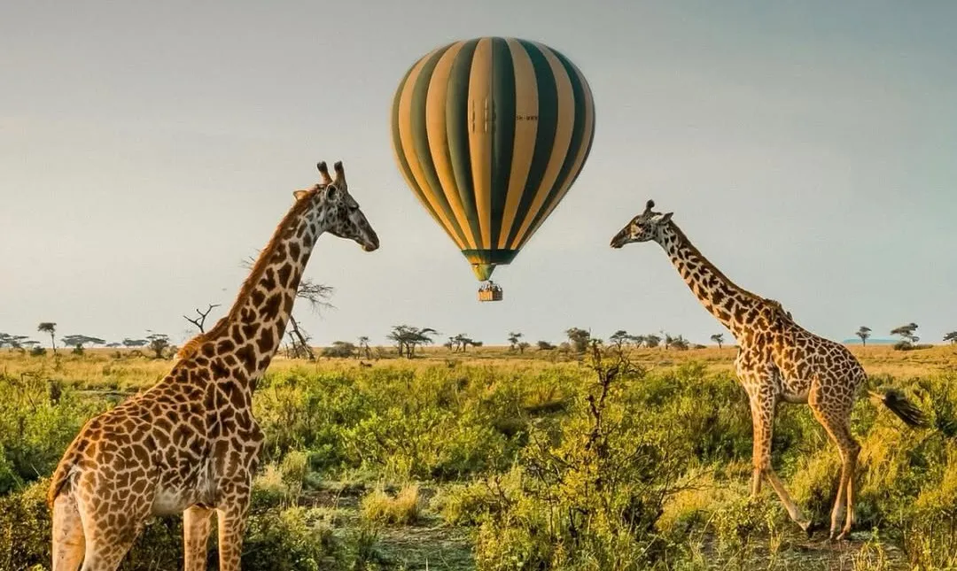 Luxury Tanzania Safaris