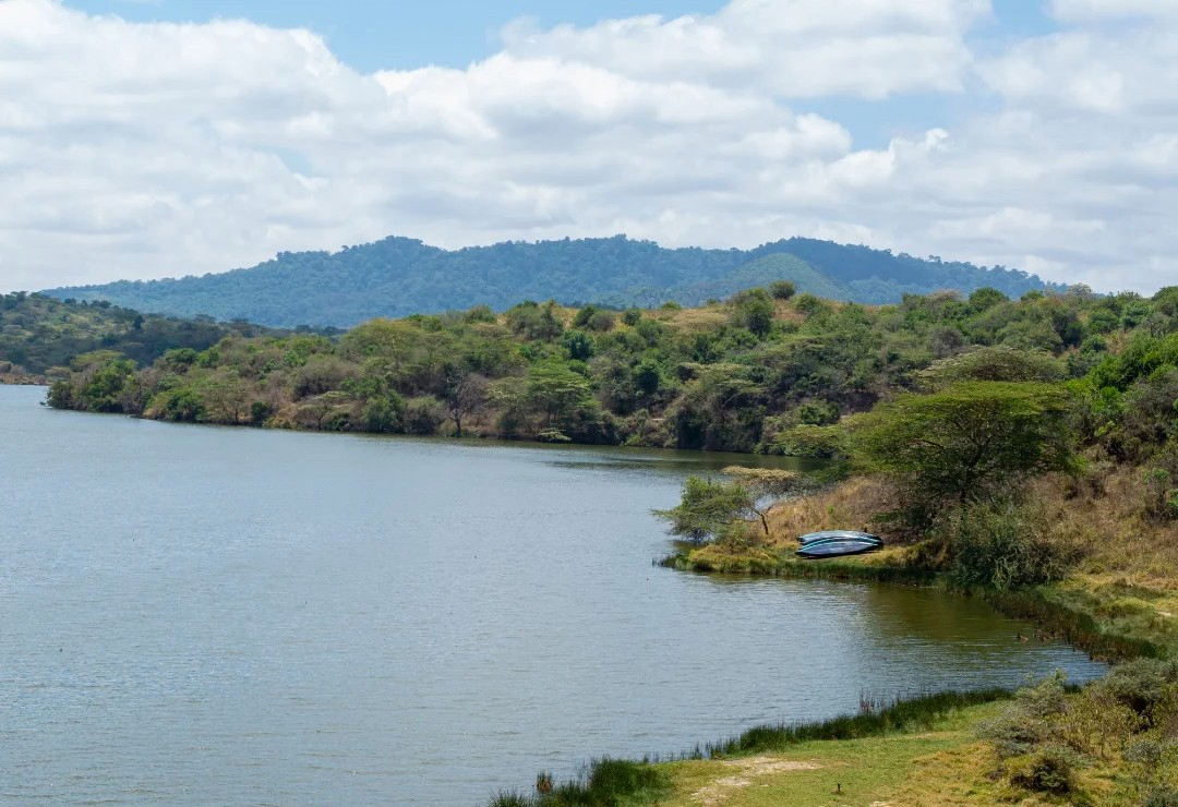 6 Day Tanzania Safari