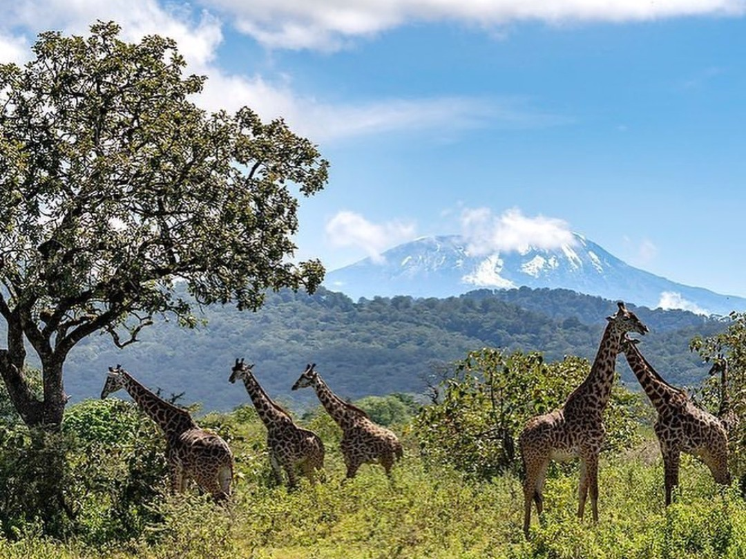 Arusha National Park with Mount Meru and Momella Lakes