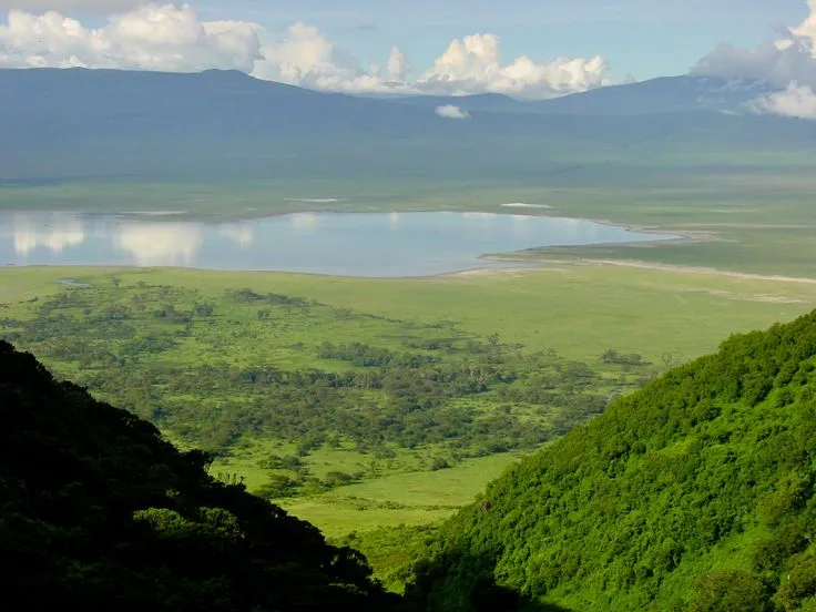 Tarangire Ngorongoro Bush Walk