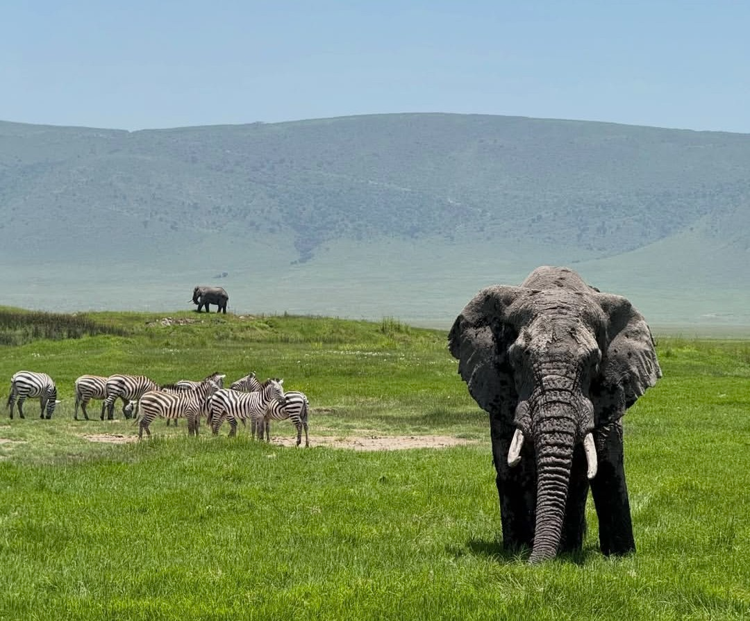 Ngorongoro Crater