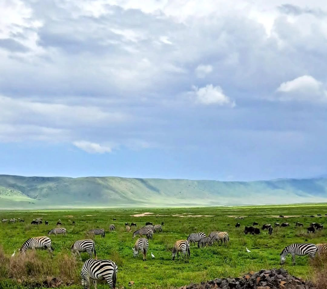 Ngorongoro Crater caldera view from the rim