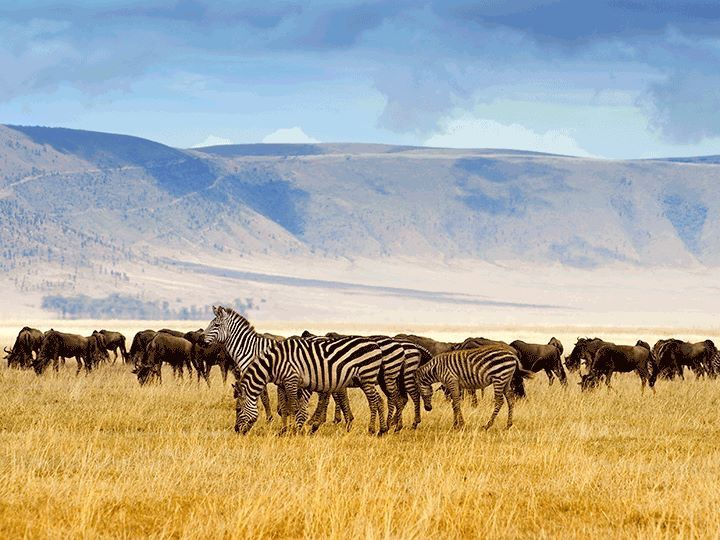 2 Days Kilimanjaro Marangu Route and Ngorongoro Crater Safari