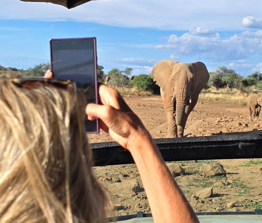Northern Serengeti wildebeest migration with predators and Zanzibar beach extension