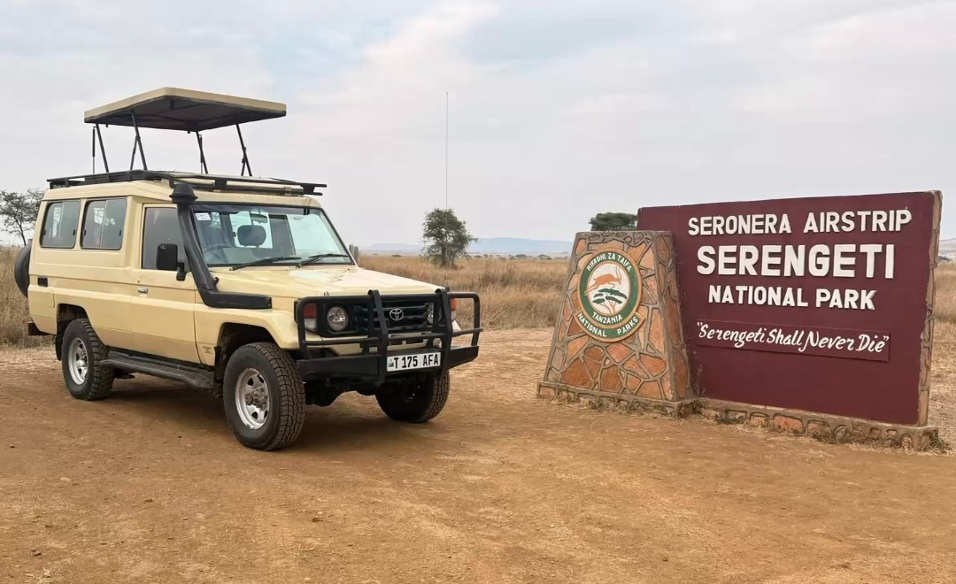 10 Days Calving Season and Zanzibar Safari
