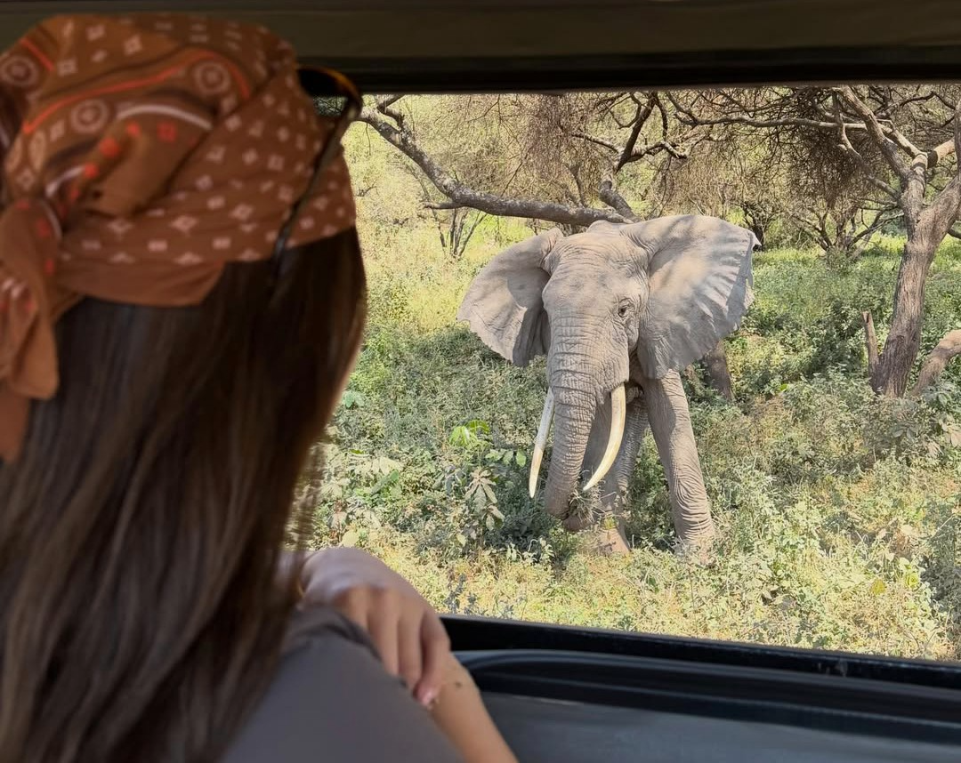3-day Tarangire Ngorongoro Lake Manyara mid-range safari