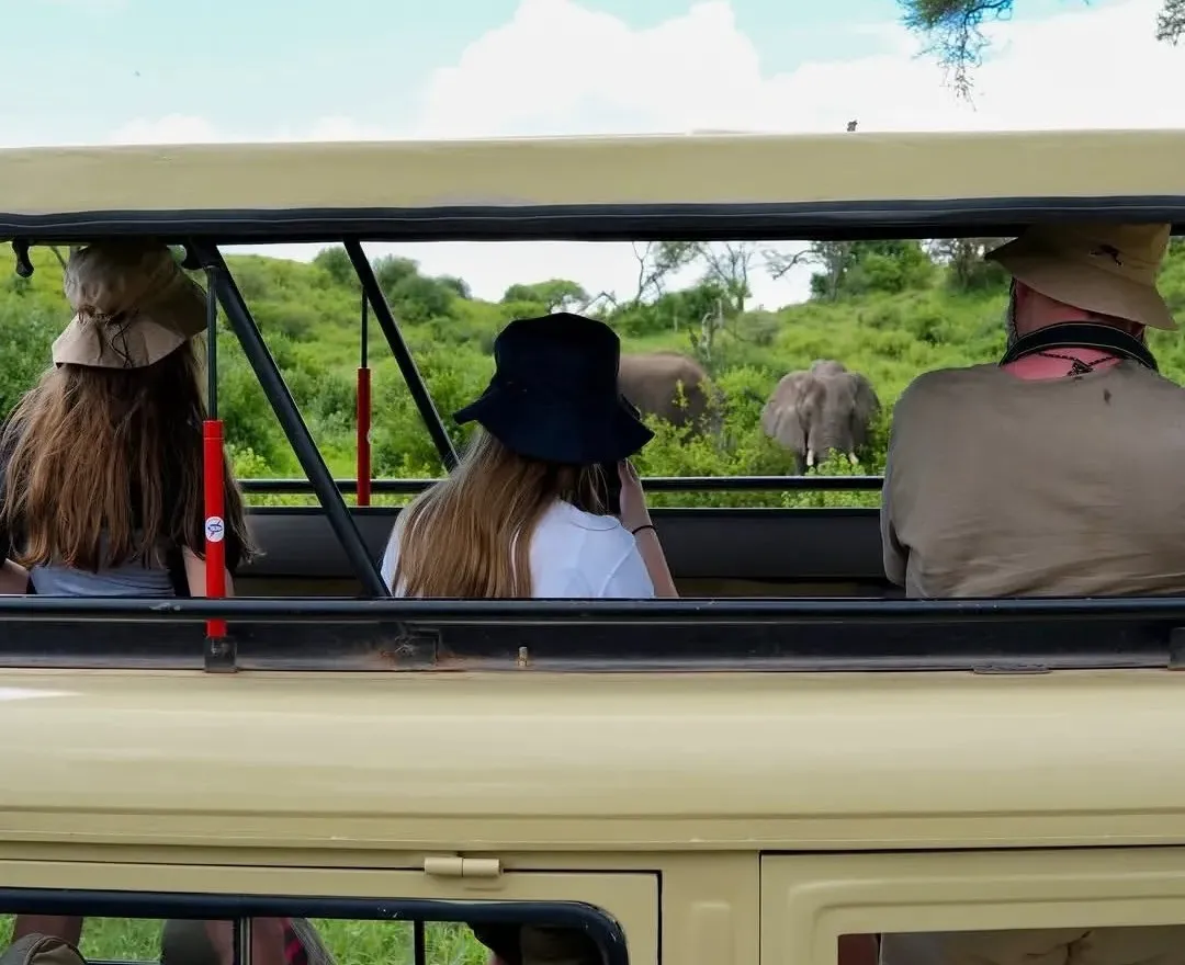 Fly-In Serengeti and Ngorongoro Safari