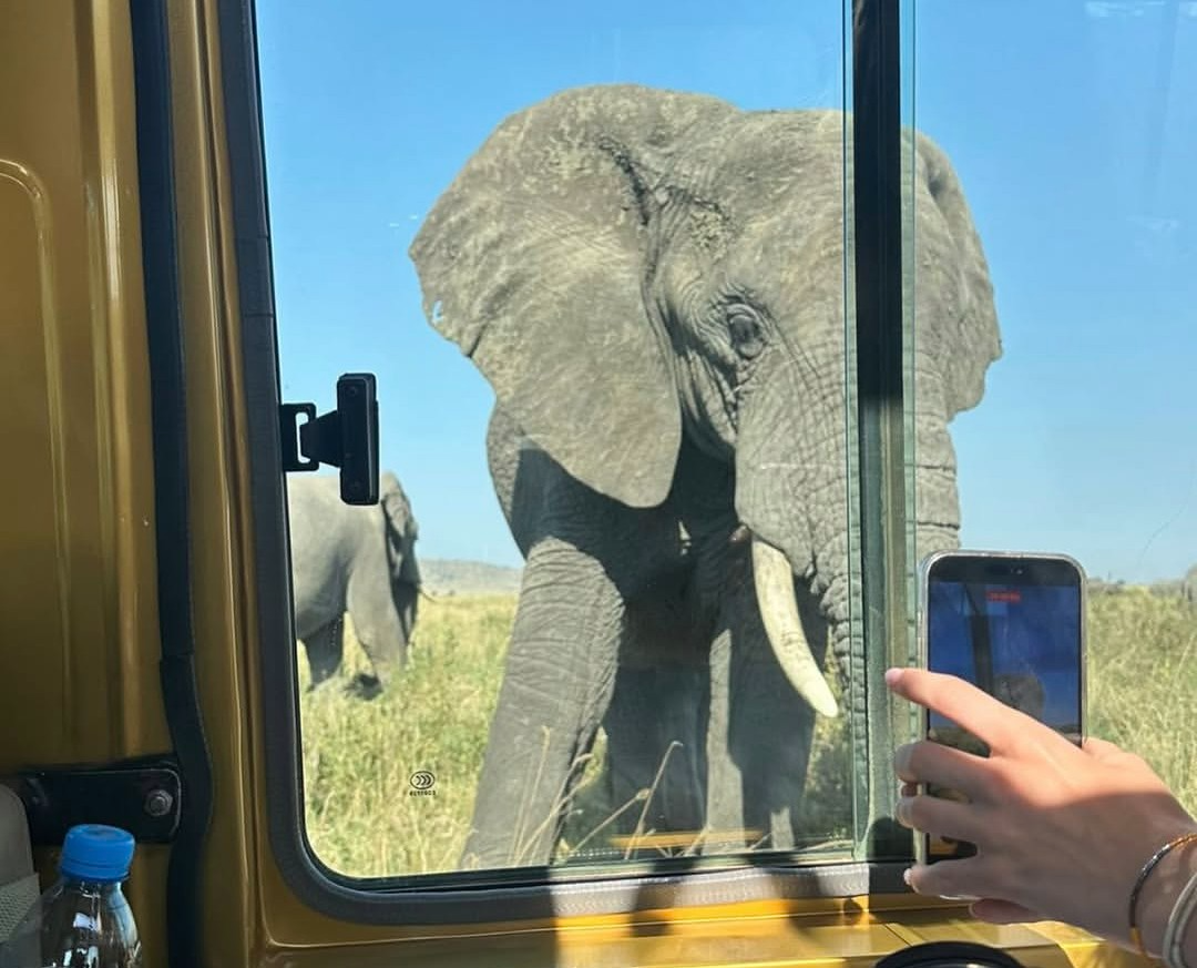5-day 4 parks Tanzania mid-range safari