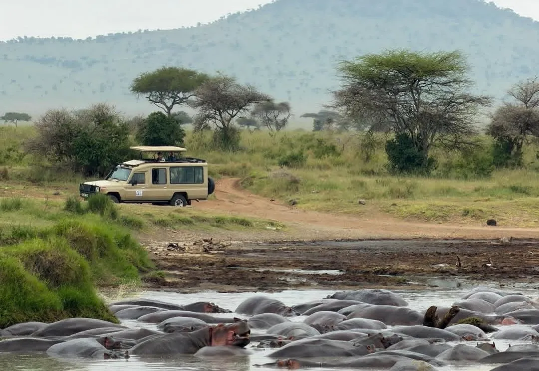 7 Days Tanzania Mid Range Safari