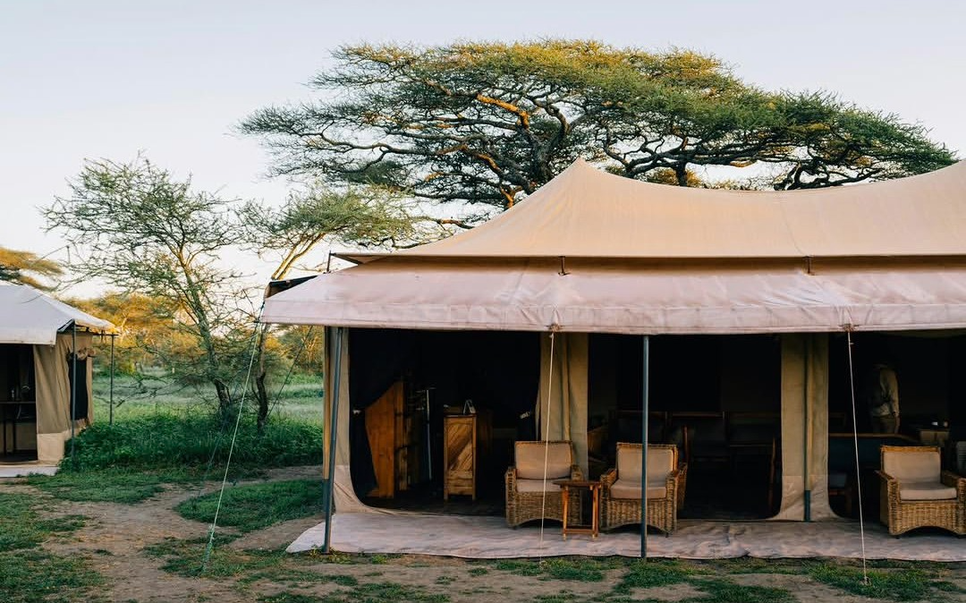 Mid-range Tanzania safari