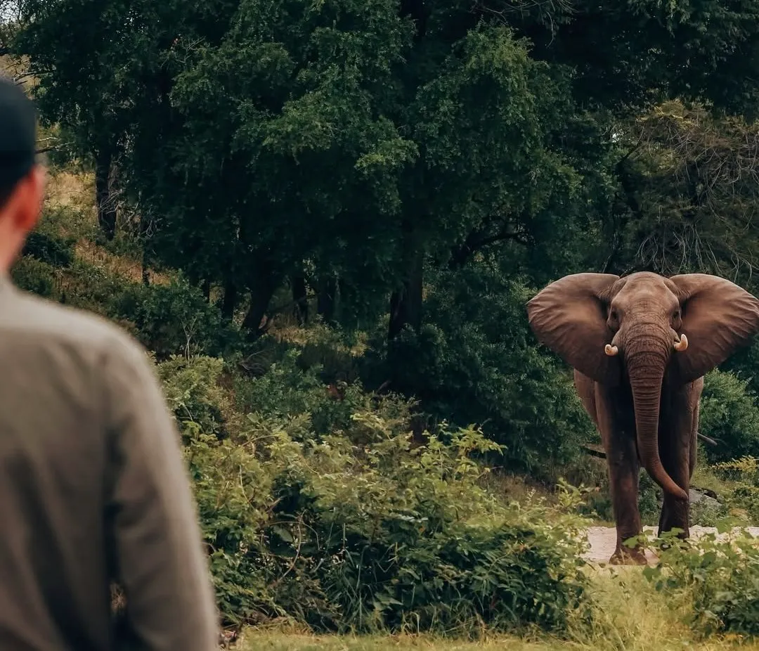 6 Days Tanzania Safari Packages
