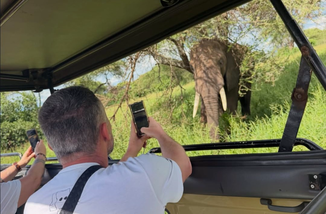 6-day private luxury Northern Circuit safari