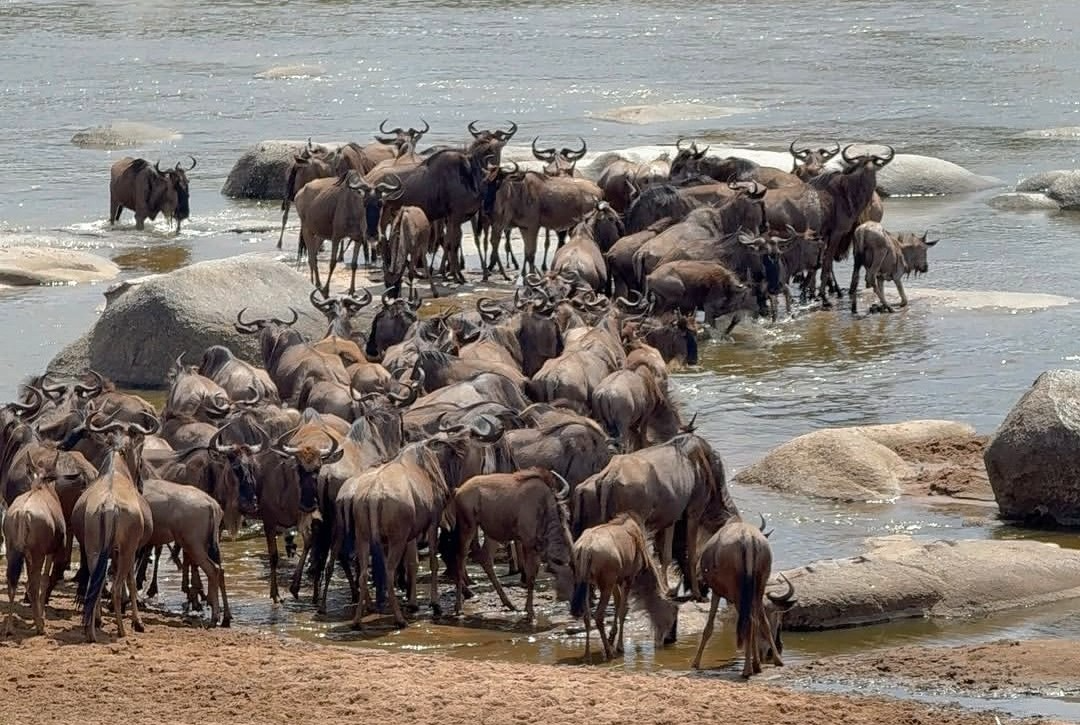 Safari and Zanzibar combination packages in Tanzania