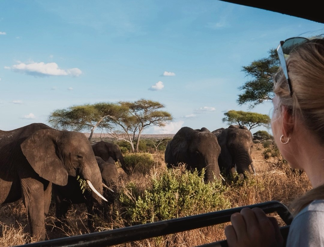 Tarangire National Park