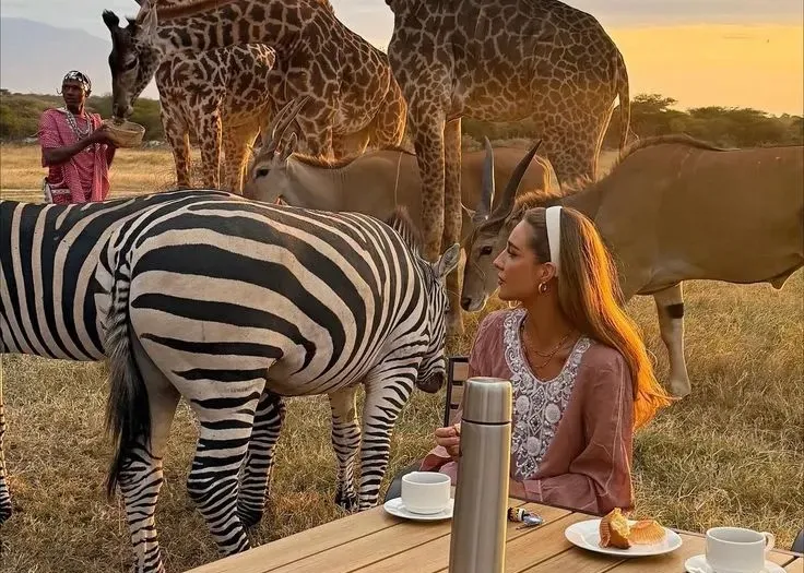 Tanzania safari day trips and Kilimanjaro excursions