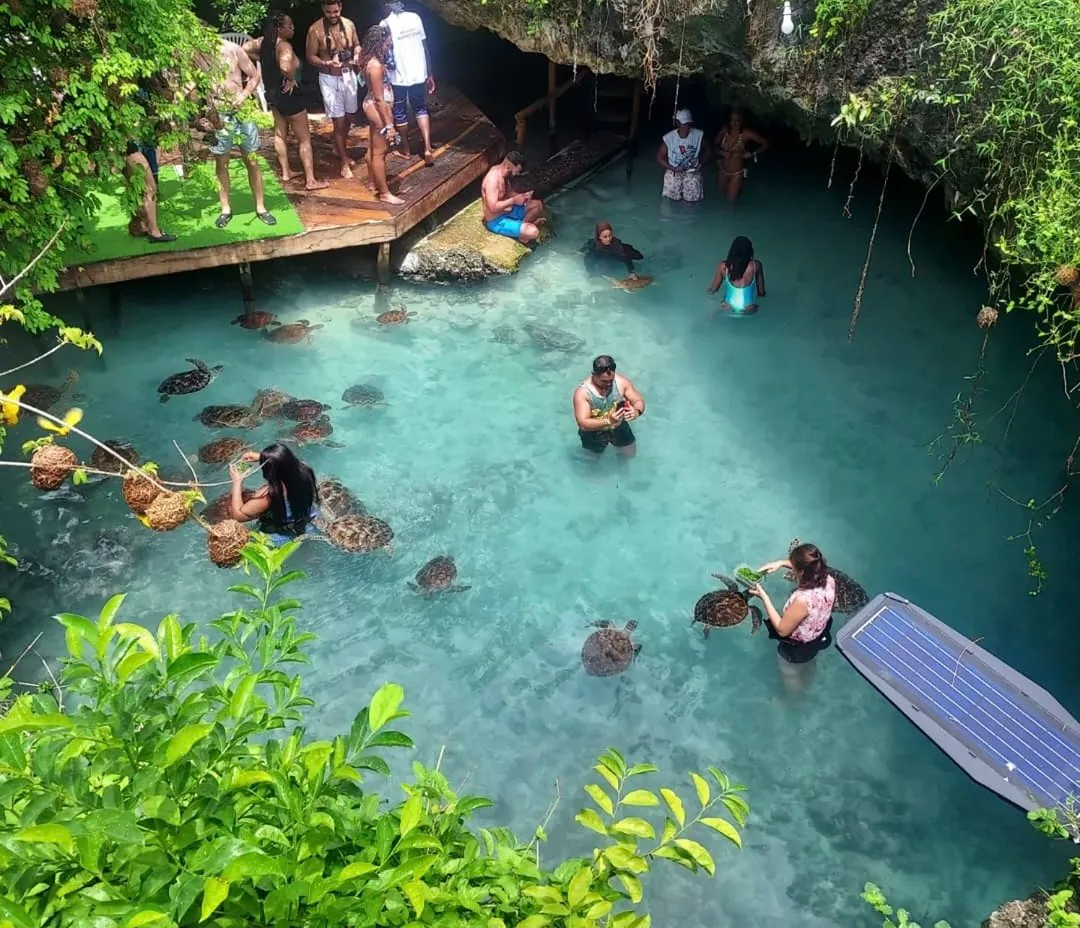 10-day calving season and Zanzibar safari