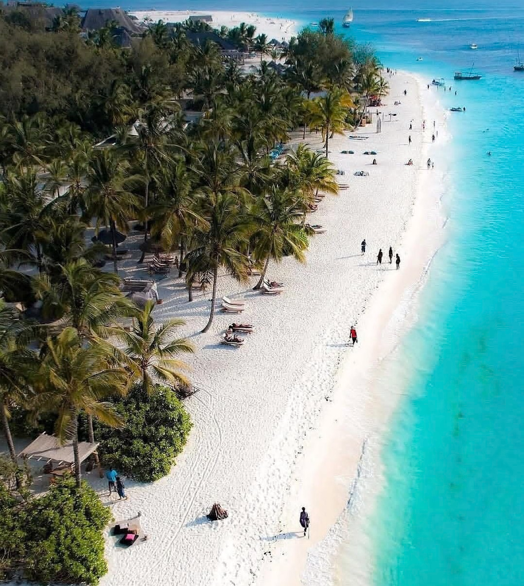 2-day fly-in safari from Zanzibar to Selous Nyerere National Park